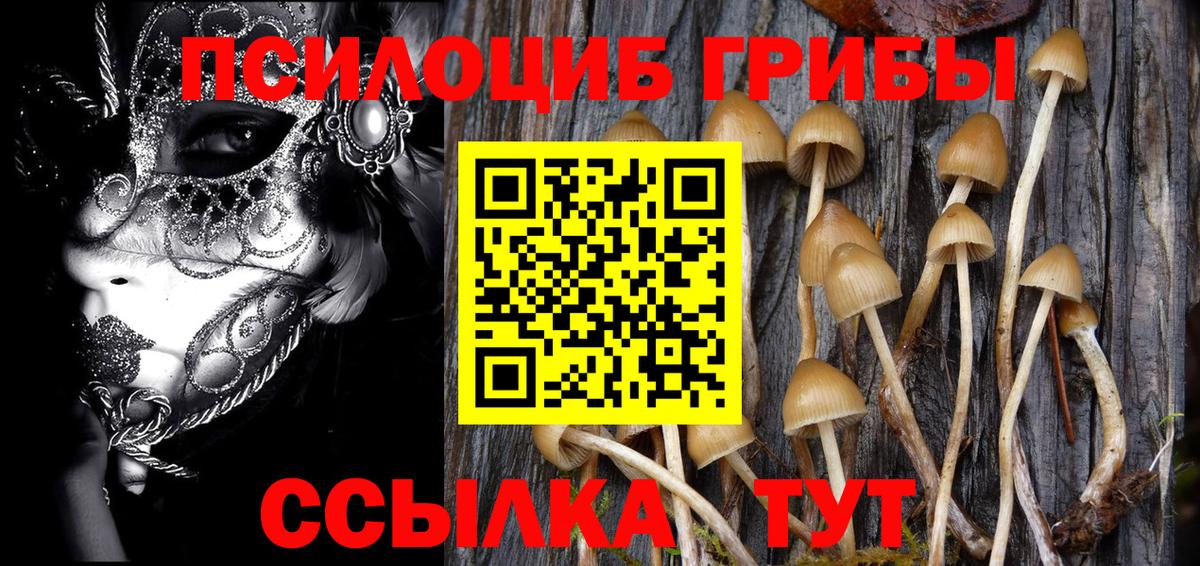 Псилоцибиновые грибы GOLDEN TEACHER  закладка  Кондопога  Вход с VPN 